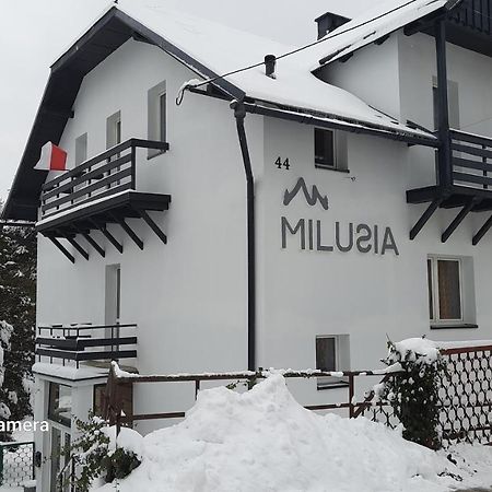 Milusia Muszyna Ξενοδοχείο Εξωτερικό φωτογραφία